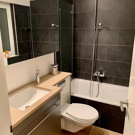 Apartment Wef Platz Centre 3,5 With Garage *