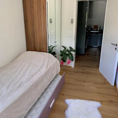 Wef Platz Centre 3,5 With Garage 公寓 *