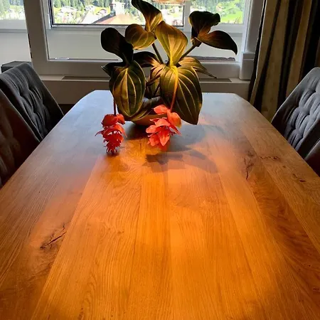 Wef Platz Centre 3,5 With Garage Appartement